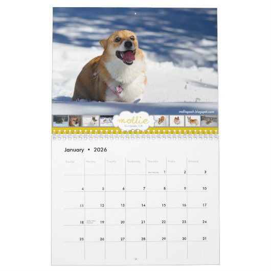 2013 Corgis ! Calendrier (Jan 2026)