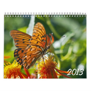 2013 de Kalender van de Fotografie