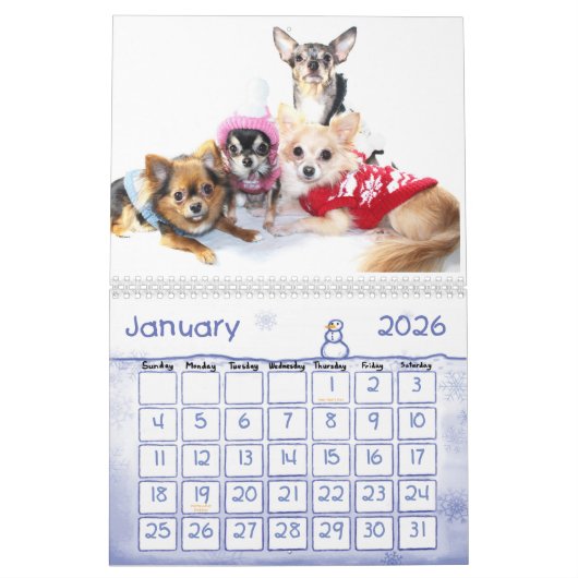 2013 de Obsessieve Kalender van de Wanorde (Jan 2026)