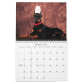 2013 Doberman Puppy Calendar Kalender (Mar 2027)
