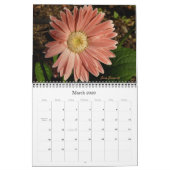 2013 Een jaar in de tuin Kalender (Mar 2026)