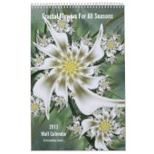 2013 Fractal Flowers Wall Agenda Kalender (Hoes)