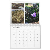 2013 l'année au calendrier creux de jardin d'Ellis (Mar 2026)