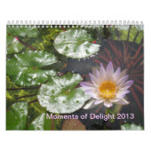 2013 moments de calendrier de plaisir (Protection)