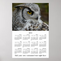 2013 Muurposter OWL Profielfoto Jaarlijkse Kalende