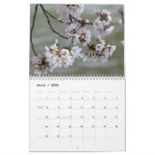 2013 (niet 2025) DC Cherry Blossom Kalender (Mar 2026)