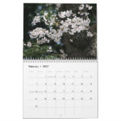 2013 (niet 2025) DC Cherry Blossom Kalender (Feb 2027)