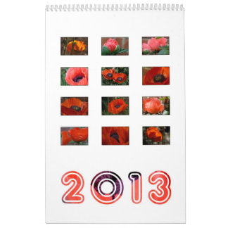 2013 - papaverkalender kalender