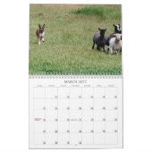2013 Performance Boxer Calendar Kalender (Mar 2027)