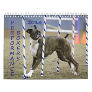 2013 Performance Boxer Calendar Kalender