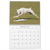 2013 Performance Boxer Calendar Kalender (Feb 2027)