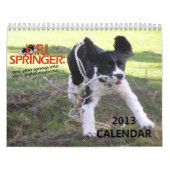 2013 Springer joyeux calendrier de 12 mois (Protection)