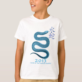 2013 T-SHIRT