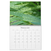 2013 Une année dans le calendrier du jardin (Feb 2026)