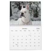 2013 White Boxer Calendar Kalender (Jan 2026)