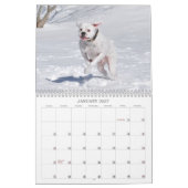 2013 White Boxer Calendar Kalender (Jan 2027)
