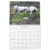 2013 White Boxer Calendar Kalender (Mar 2027)