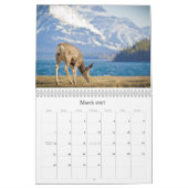2014 12-maands kalender in Canada Scenics (Mar 2027)