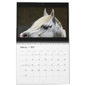 2014 Arabieren - Joy of life Kalender (Feb 2027)