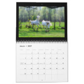 2014 Arabieren - Joy of life Kalender (Mar 2027)