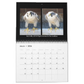 2014 calendrier - collages principaux de came (Mar 2026)