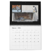 2014 calendrier - collages principaux de came (Feb 2026)