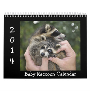 2014 calendrier de faune - ratons laveurs de béb