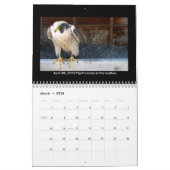 2014 calendrier - images principales de came (Mar 2026)