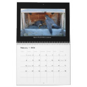 2014 calendrier - images principales de came (Feb 2026)