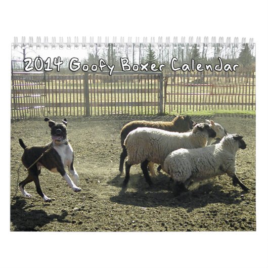2014 calendriers maladroits de boxeur (Protection)