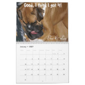 2014 calendriers maladroits de boxeur (Jan 2027)