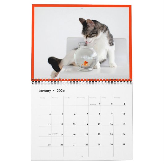 2014 Corky The Cradle Cat Calendar Kalender (Jan 2026)
