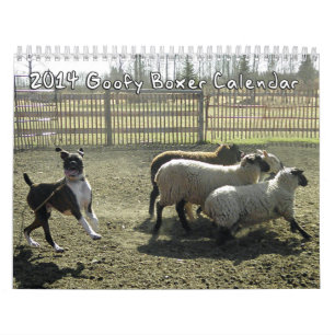 2014 Goofy Boxers Calendar Kalender