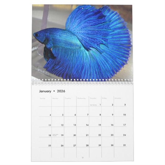 2014 Halfmoon Betta viskalender Kalender (Jan 2026)
