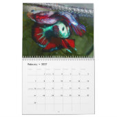 2014 Halfmoon Betta viskalender Kalender (Feb 2027)