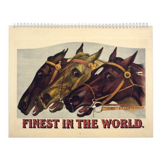 2014 le plus fin du calendrier du monde (Protection)