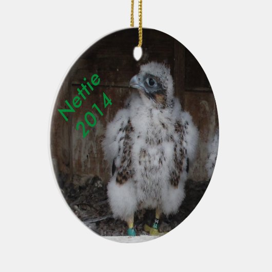 2014 Nettie Ornament (Rechts)