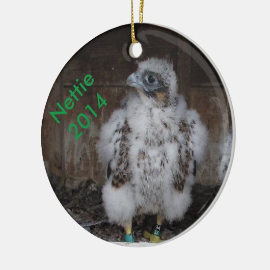 2014 Nettie Ornament (Links)