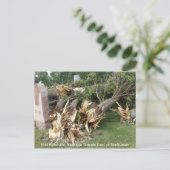 2014 Platteville, Tornado Memorabilia Briefkaart (Staand voorkant)