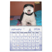 2014 Portugese Dog Kalender (Jan 2026)
