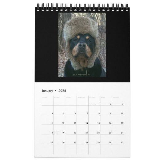 2014 rottweilers par le calendrier de Diane (Jan 2026)