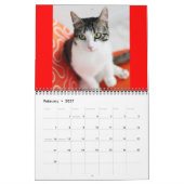 2014 semblable au liège le calendrier de chat de (Feb 2027)