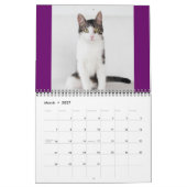 2014 semblable au liège le calendrier de chat de (Mar 2027)