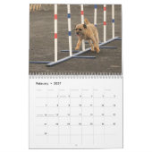 2015 Border Terrier Calendar Kalender (Feb 2027)
