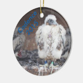 2015 Cadence Ornament (Links)