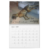 2015 calendriers maladroits de boxeur (Mar 2027)