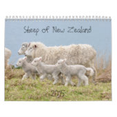 2015 moutons de calendrier de la Nouvelle Zélande (Protection)