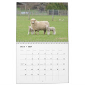 2015 moutons de calendrier de la Nouvelle Zélande (Mar 2027)