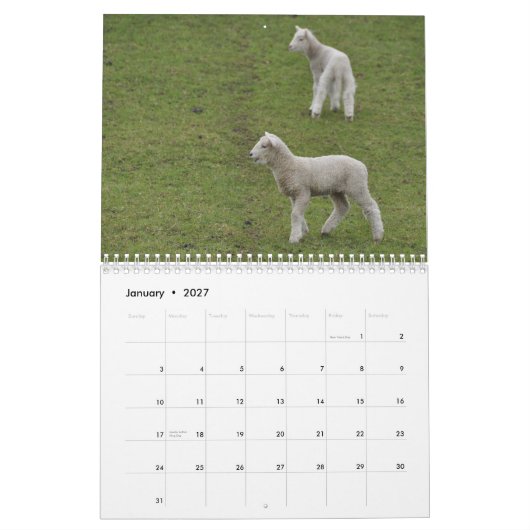 2015 moutons de calendrier de la Nouvelle Zélande (Jan 2027)