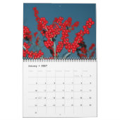 2015 Natuur Kalender (Jan 2027)